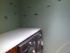 db_laundry